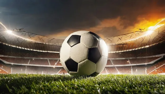 帮助中心 - 亚美体育官方网站